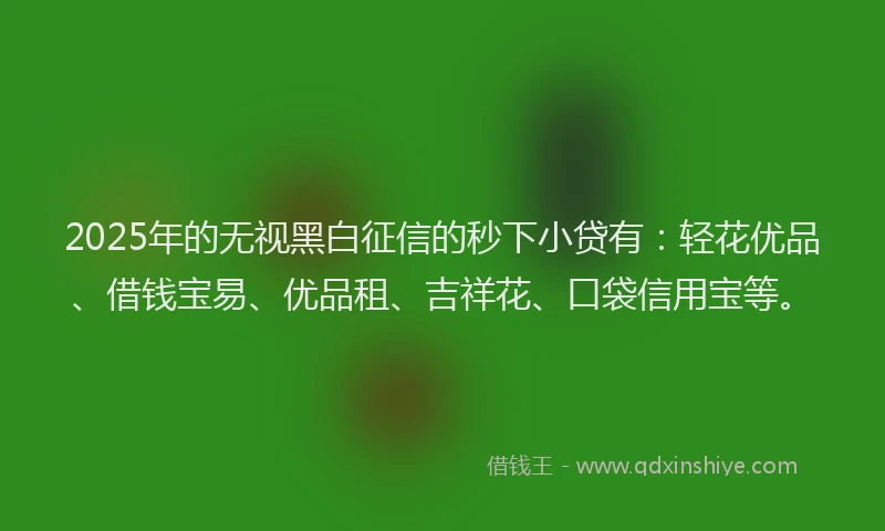 2025年的无视黑白征信的秒下小贷有：轻花优品、借钱宝易、优品租、吉祥花、口袋信用宝等。