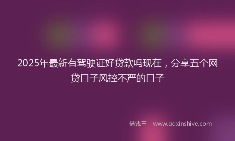 2025年最新有驾驶证好贷款吗现在，分享五个网贷口子风控不严的口子