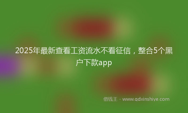2025年最新查看工资流水不看征信，整合5个黑户下款app