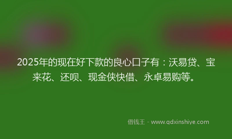 2025年的现在好下款的良心口子有：沃易贷、宝来花、还呗、现金侠快借、永卓易购等。
