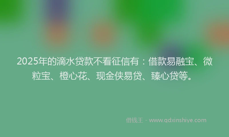 2025年的滴水贷款不看征信有：借款易融宝、微粒宝、橙心花、现金侠易贷、臻心贷等。
