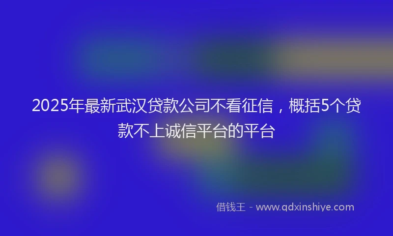 2025年最新武汉贷款公司不看征信，概括5个贷款不上诚信平台的平台