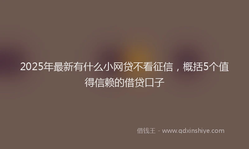 2025年最新有什么小网贷不看征信，概括5个值得信赖的借贷口子