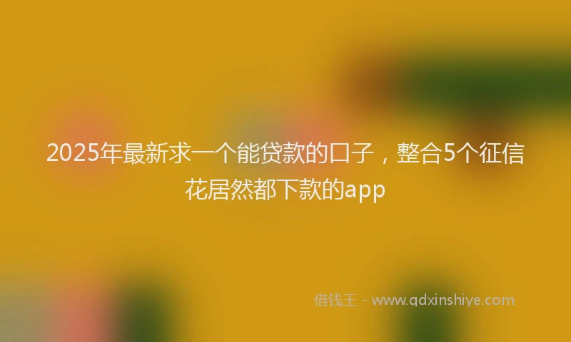 2025年最新求一个能贷款的口子，整合5个征信花居然都下款的app