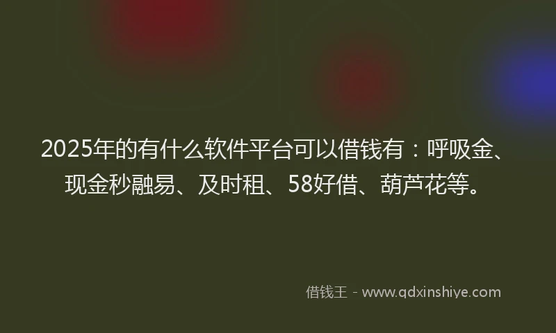 2025年的有什么软件平台可以借钱有：呼吸金、现金秒融易、及时租、58好借、葫芦花等。