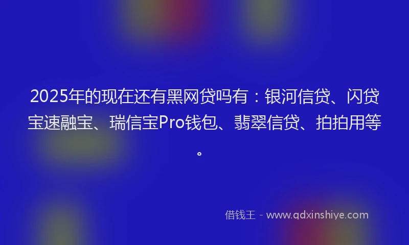 2025年的现在还有黑网贷吗有：银河信贷、闪贷宝速融宝、瑞信宝Pro钱包、翡翠信贷、拍拍用等。
