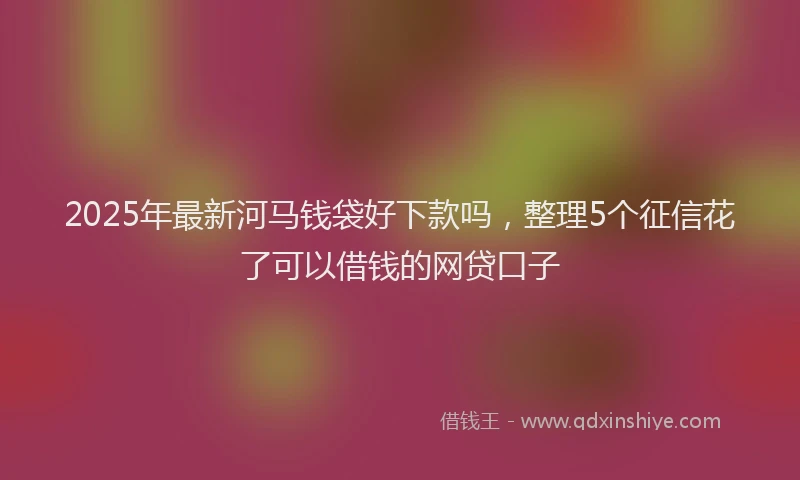 2025年最新河马钱袋好下款吗，整理5个征信花了可以借钱的网贷口子