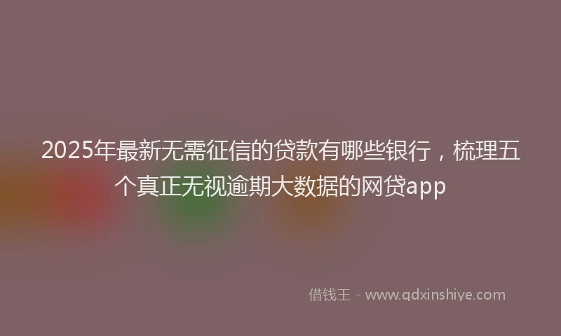 2025年最新无需征信的贷款有哪些银行，梳理五个真正无视逾期大数据的网贷app