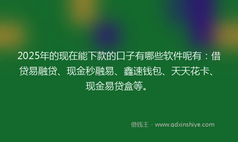 2025年的现在能下款的口子有哪些软件呢有：借贷易融贷、现金秒融易、鑫速钱包、天天花卡、现金易贷盒等。