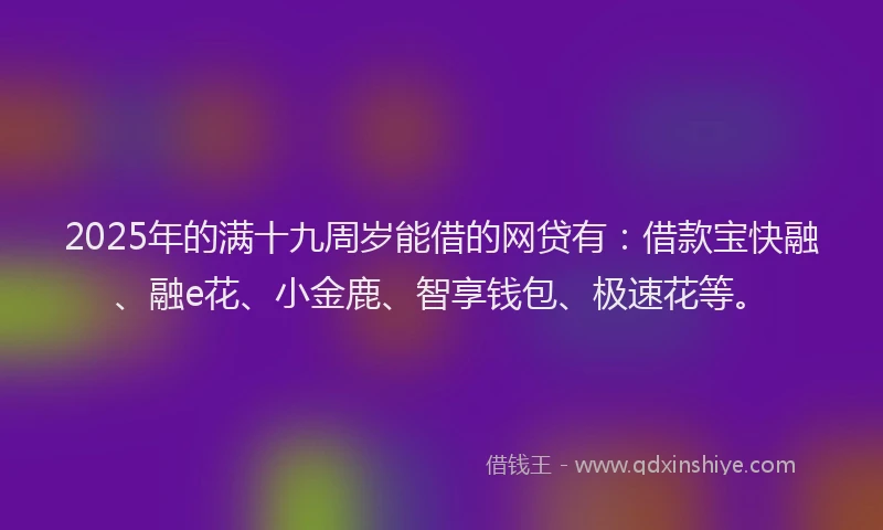 2025年的满十九周岁能借的网贷有：借款宝快融、融e花、小金鹿、智享钱包、极速花等。