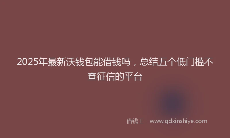 2025年最新沃钱包能借钱吗，总结五个低门槛不查征信的平台