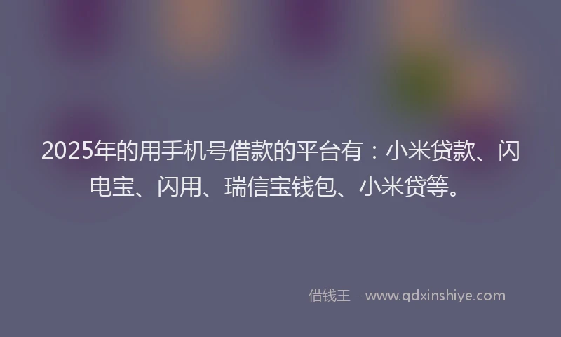 2025年的用手机号借款的平台有：小米贷款、闪电宝、闪用、瑞信宝钱包、小米贷等。