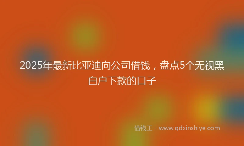 2025年最新比亚迪向公司借钱，盘点5个无视黑白户下款的口子