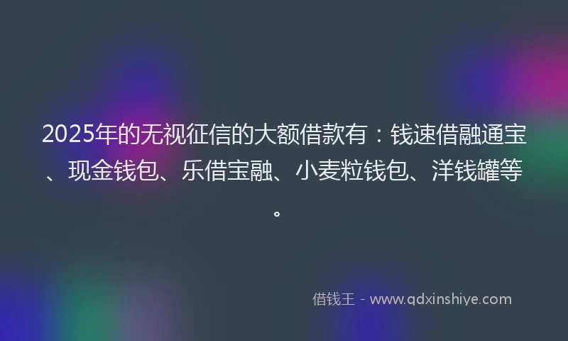 2025年的无视征信的大额借款有：钱速借融通宝、现金钱包、乐借宝融、小麦粒钱包、洋钱罐等。