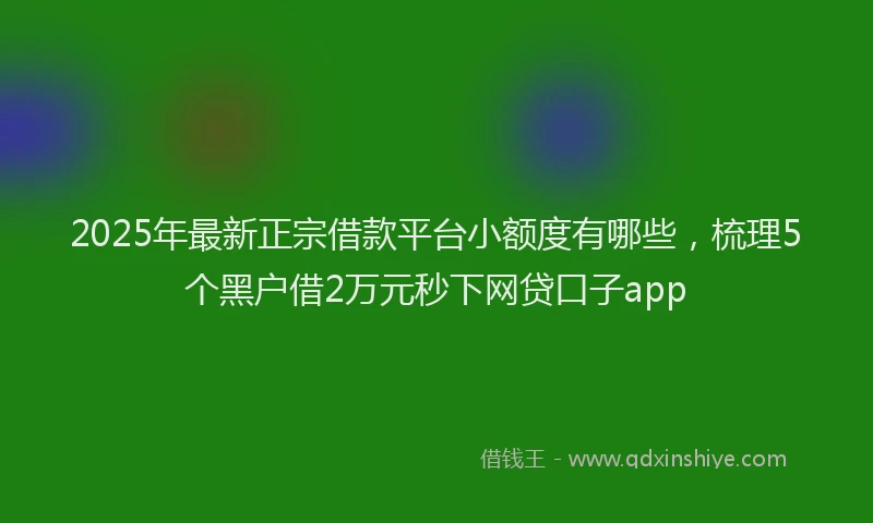 2025年最新正宗借款平台小额度有哪些，梳理5个黑户借2万元秒下网贷口子app