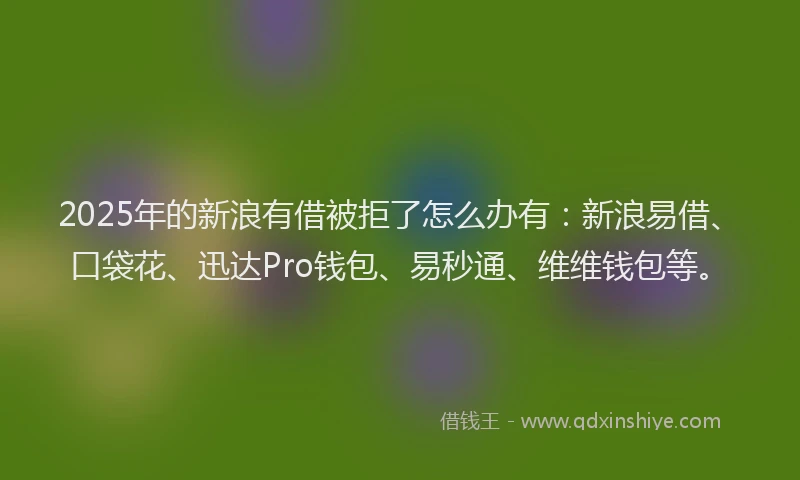 2025年的新浪有借被拒了怎么办有：新浪易借、口袋花、迅达Pro钱包、易秒通、维维钱包等。