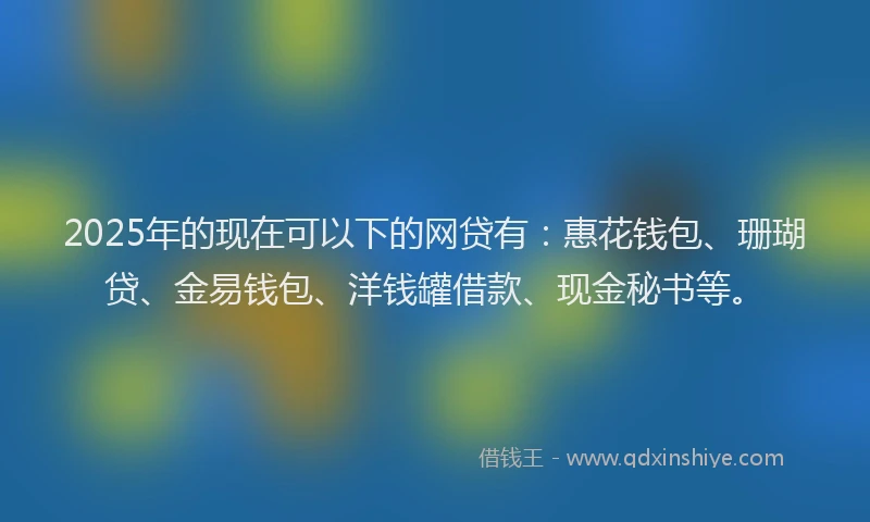 2025年的现在可以下的网贷有：惠花钱包、珊瑚贷、金易钱包、洋钱罐借款、现金秘书等。