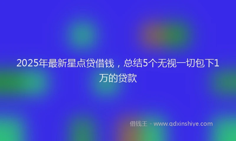 2025年最新星点贷借钱，总结5个无视一切包下1万的贷款