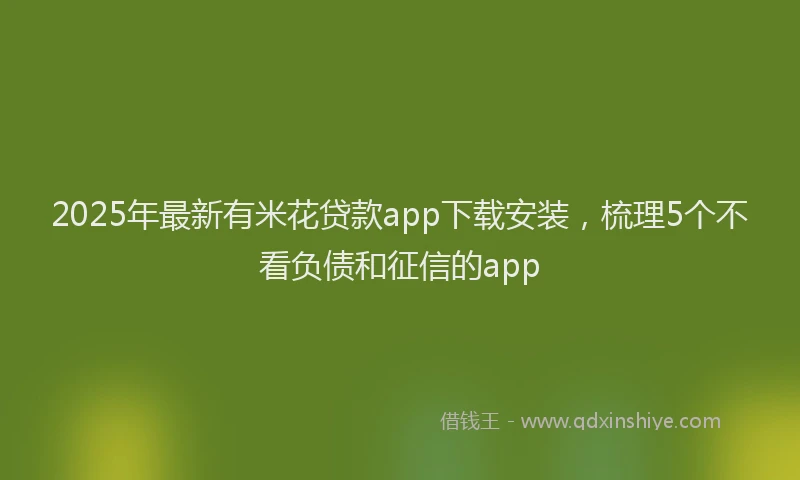 2025年最新有米花贷款app下载安装，梳理5个不看负债和征信的app