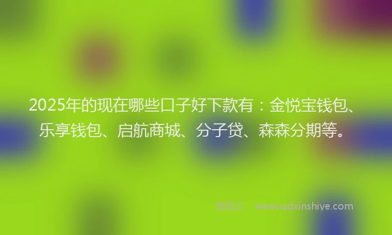 2025年的现在哪些口子好下款有：金悦宝钱包、乐享钱包、启航商城、分子贷、森森分期等。