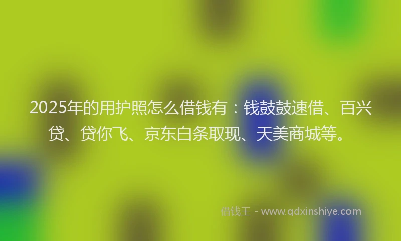 2025年的用护照怎么借钱有：钱鼓鼓速借、百兴贷、贷你飞、京东白条取现、天美商城等。