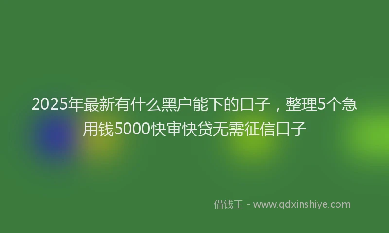 2025年最新有什么黑户能下的口子，整理5个急用钱5000快审快贷无需征信口子