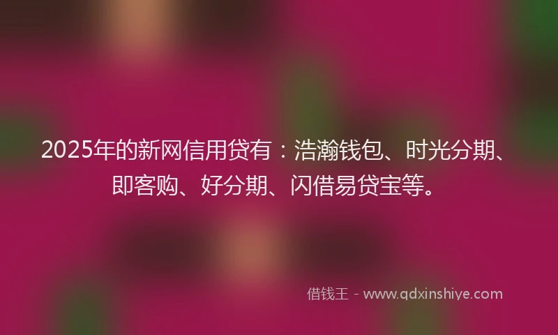 2025年的新网信用贷有：浩瀚钱包、时光分期、即客购、好分期、闪借易贷宝等。