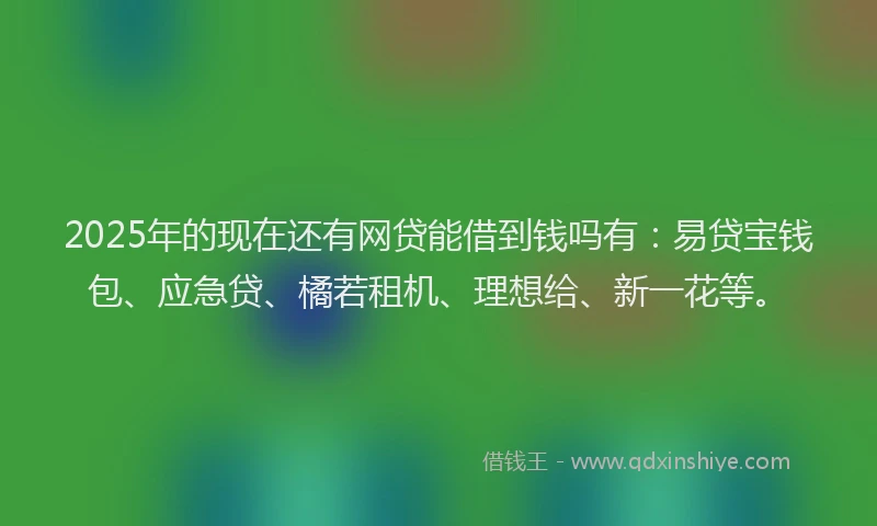 2025年的现在还有网贷能借到钱吗有：易贷宝钱包、应急贷、橘若租机、理想给、新一花等。