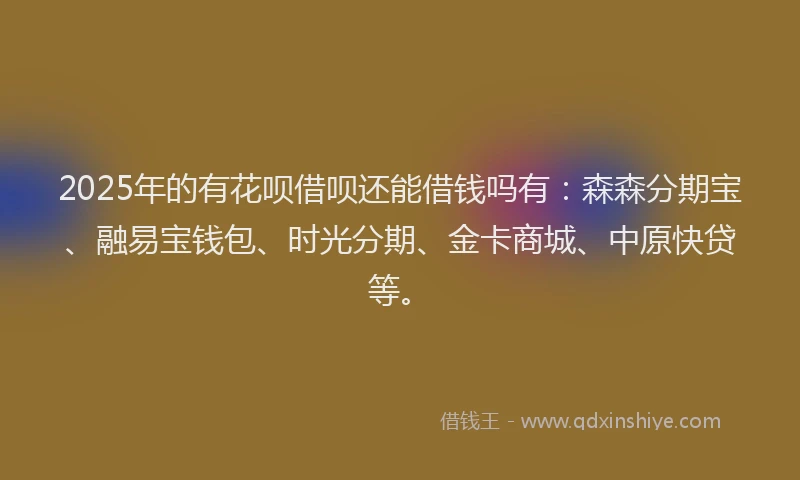 2025年的有花呗借呗还能借钱吗有：森森分期宝、融易宝钱包、时光分期、金卡商城、中原快贷等。