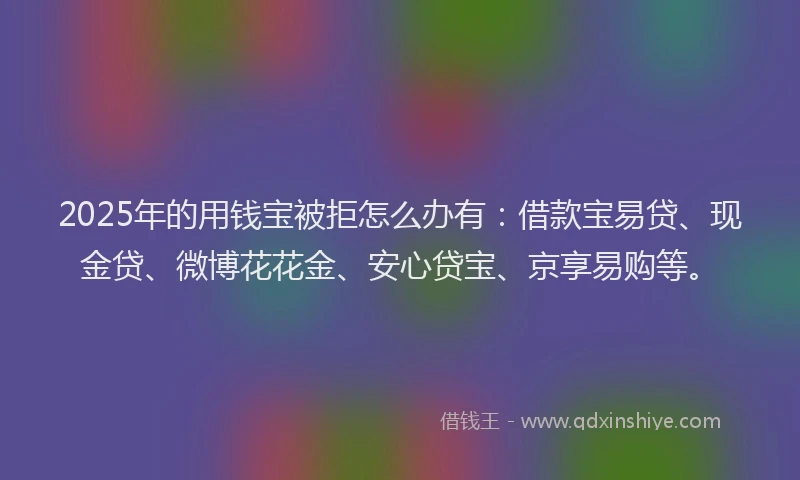 2025年的用钱宝被拒怎么办有：借款宝易贷、现金贷、微博花花金、安心贷宝、京享易购等。