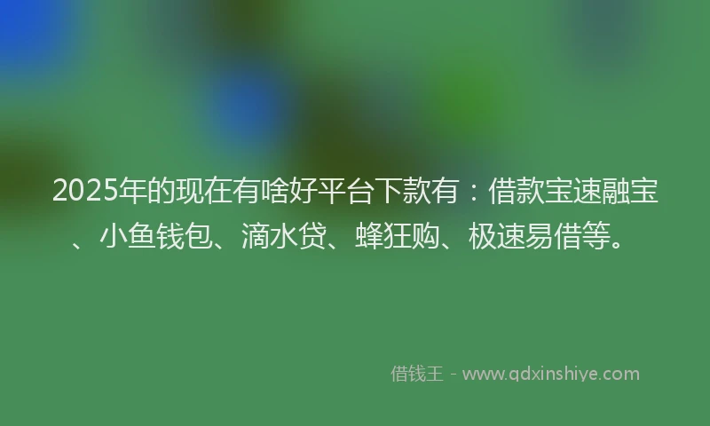 2025年的现在有啥好平台下款有：借款宝速融宝、小鱼钱包、滴水贷、蜂狂购、极速易借等。