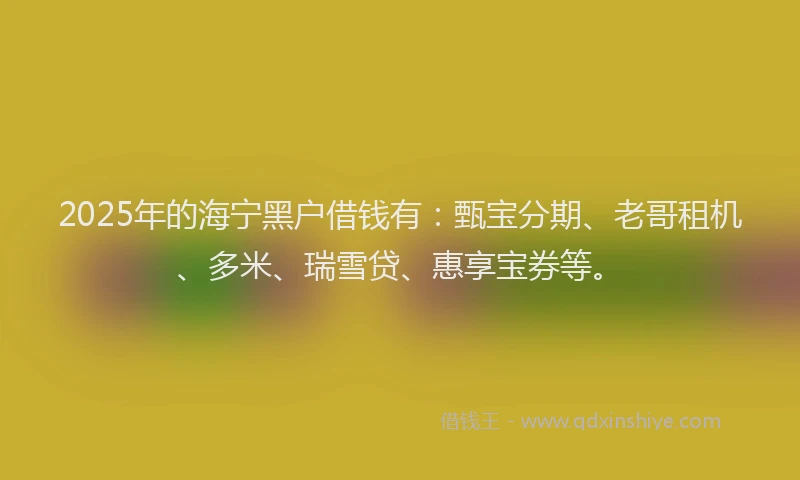 2025年的海宁黑户借钱有：甄宝分期、老哥租机、多米、瑞雪贷、惠享宝券等。