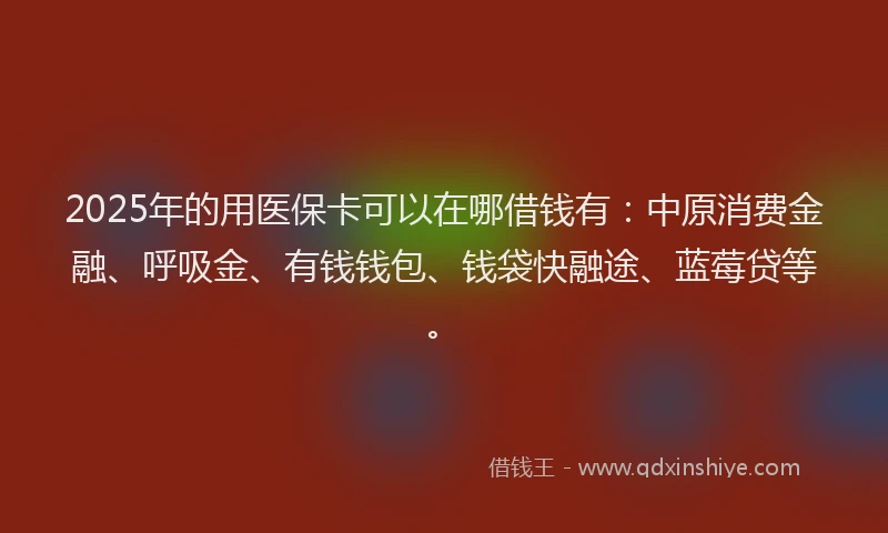 2025年的用医保卡可以在哪借钱有：中原消费金融、呼吸金、有钱钱包、钱袋快融途、蓝莓贷等。