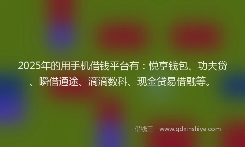 2025年的用手机借钱平台有：悦享钱包、功夫贷、瞬借通途、滴滴数科、现金贷易借融等。