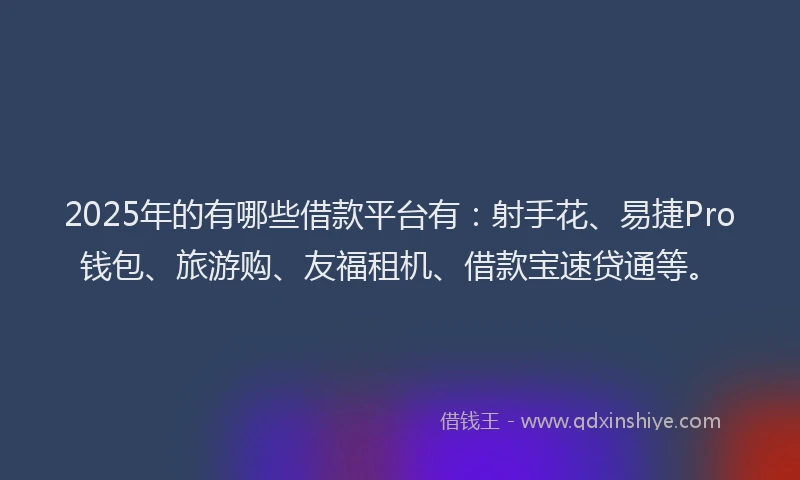 2025年的有哪些借款平台有：射手花、易捷Pro钱包、旅游购、友福租机、借款宝速贷通等。