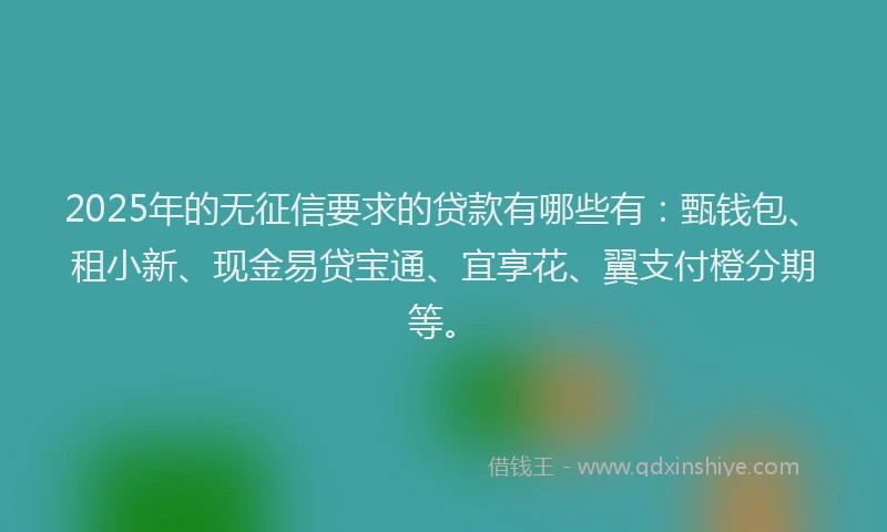 2025年的无征信要求的贷款有哪些有：甄钱包、租小新、现金易贷宝通、宜享花、翼支付橙分期等。