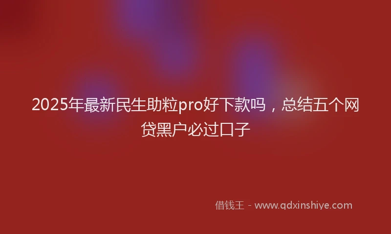 2025年最新民生助粒pro好下款吗，总结五个网贷黑户必过口子