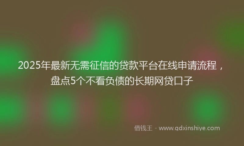 2025年最新无需征信的贷款平台在线申请流程，盘点5个不看负债的长期网贷口子