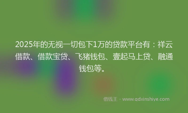 2025年的无视一切包下1万的贷款平台有：祥云借款、借款宝贷、飞猪钱包、壹起马上贷、融通钱包等。