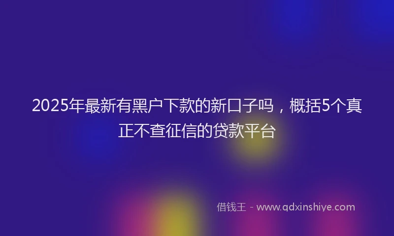 2025年最新有黑户下款的新口子吗，概括5个真正不查征信的贷款平台