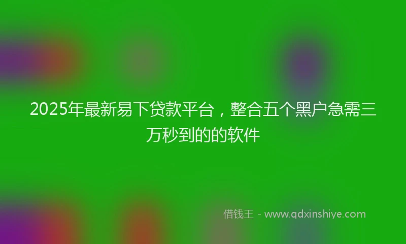 2025年最新易下贷款平台，整合五个黑户急需三万秒到的的软件