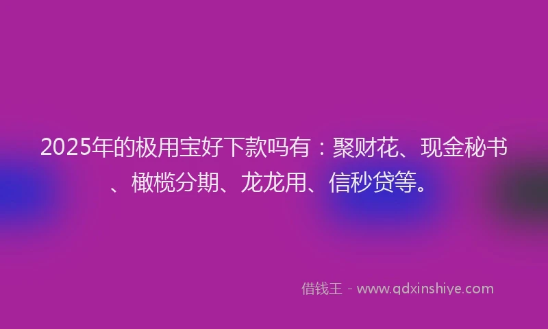 2025年的极用宝好下款吗有：聚财花、现金秘书、橄榄分期、龙龙用、信秒贷等。