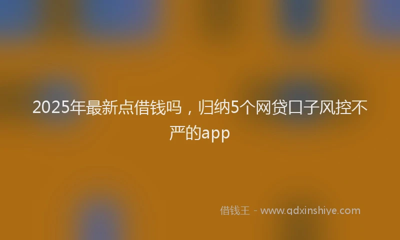 2025年最新点借钱吗，归纳5个网贷口子风控不严的app