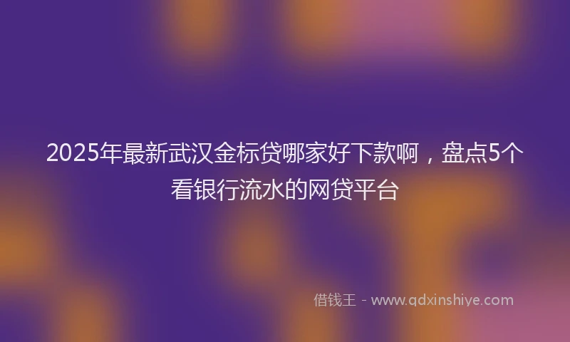 2025年最新武汉金标贷哪家好下款啊，盘点5个看银行流水的网贷平台