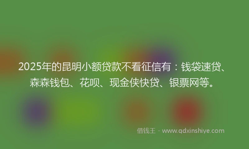 2025年的昆明小额贷款不看征信有：钱袋速贷、森森钱包、花呗、现金侠快贷、银票网等。