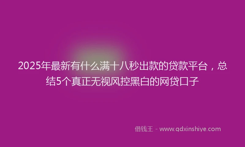 2025年最新有什么满十八秒出款的贷款平台，总结5个真正无视风控黑白的网贷口子