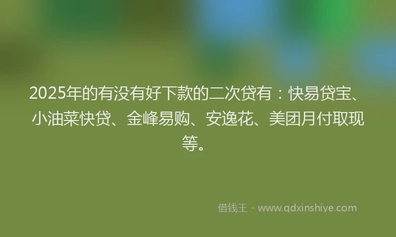 2025年的有没有好下款的二次贷有：快易贷宝、小油菜快贷、金峰易购、安逸花、美团月付取现等。