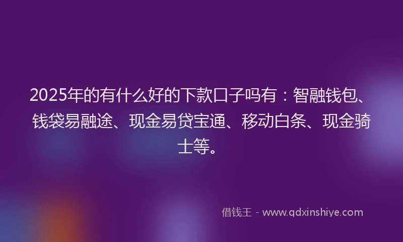 2025年的有什么好的下款口子吗有：智融钱包、钱袋易融途、现金易贷宝通、移动白条、现金骑士等。