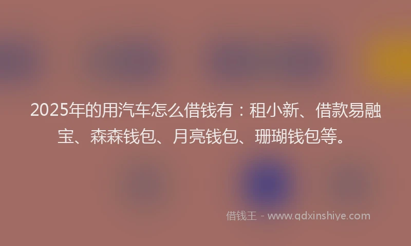 2025年的用汽车怎么借钱有：租小新、借款易融宝、森森钱包、月亮钱包、珊瑚钱包等。