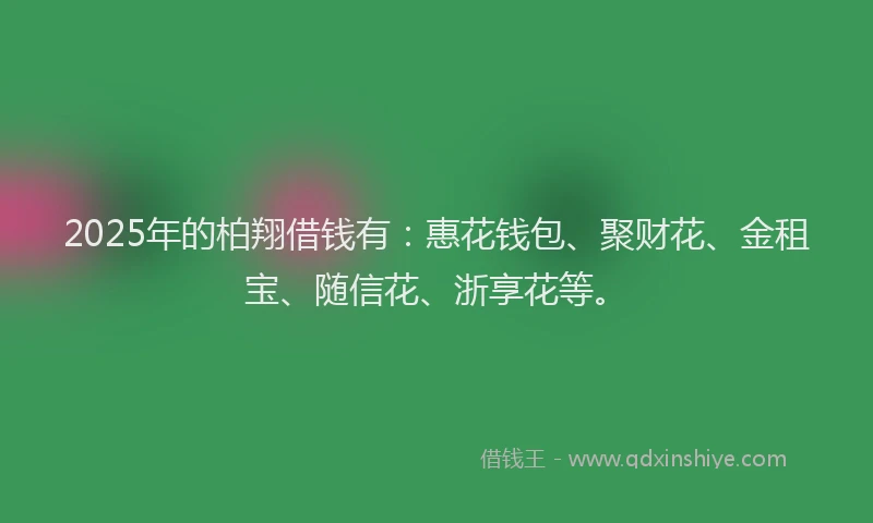 2025年的柏翔借钱有：惠花钱包、聚财花、金租宝、随信花、浙享花等。